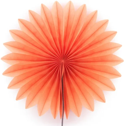 Tissue paper fan